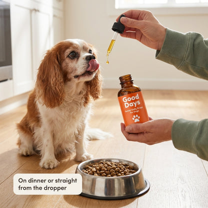 Good Days Senior Daily Drops